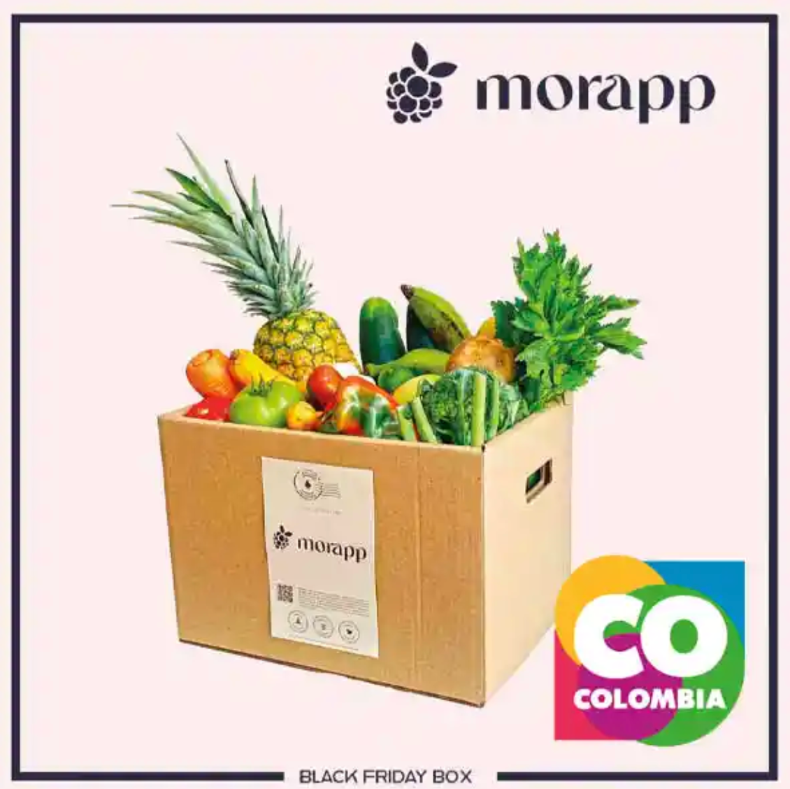 morapp Básica con el 40%